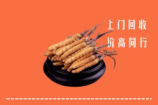 高价求购：海南州贵德县回收散虫草